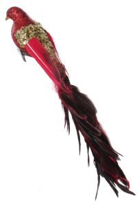 ShiShi FEDERVOGEL, rote Glitzerpaillette m/ Schwanz 40cm