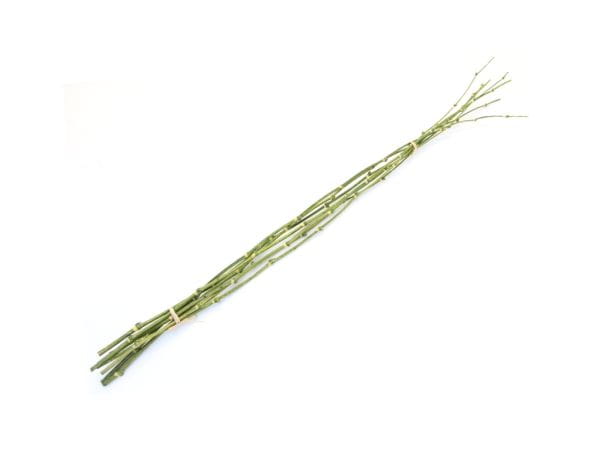 Seidenblume Bambuszweig grün