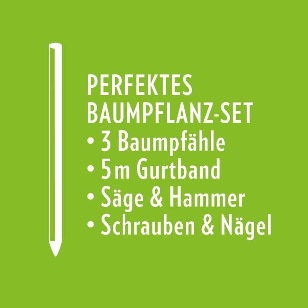 Baumpflanz-Set