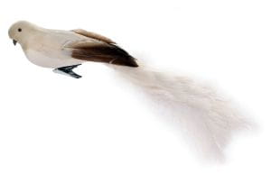 ShiShi BIRD w/ CLIP, 45cm cream oistrich tail