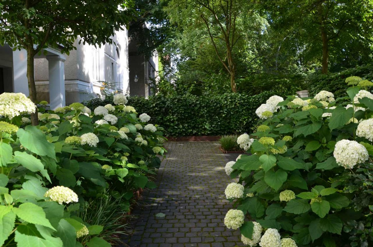 Halbschattiger in HamburgWinterhude Garten von Ehren