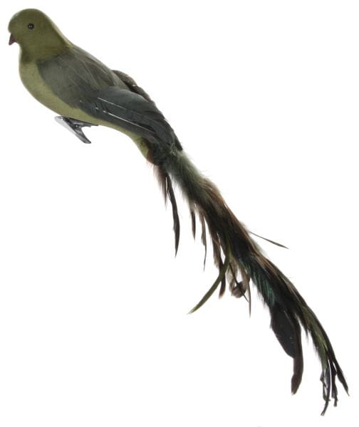 ShiShi FEDERVOGEL, grün 45cm