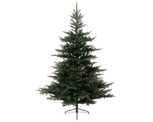 Weihnachtsbaum GRANDIS FIR