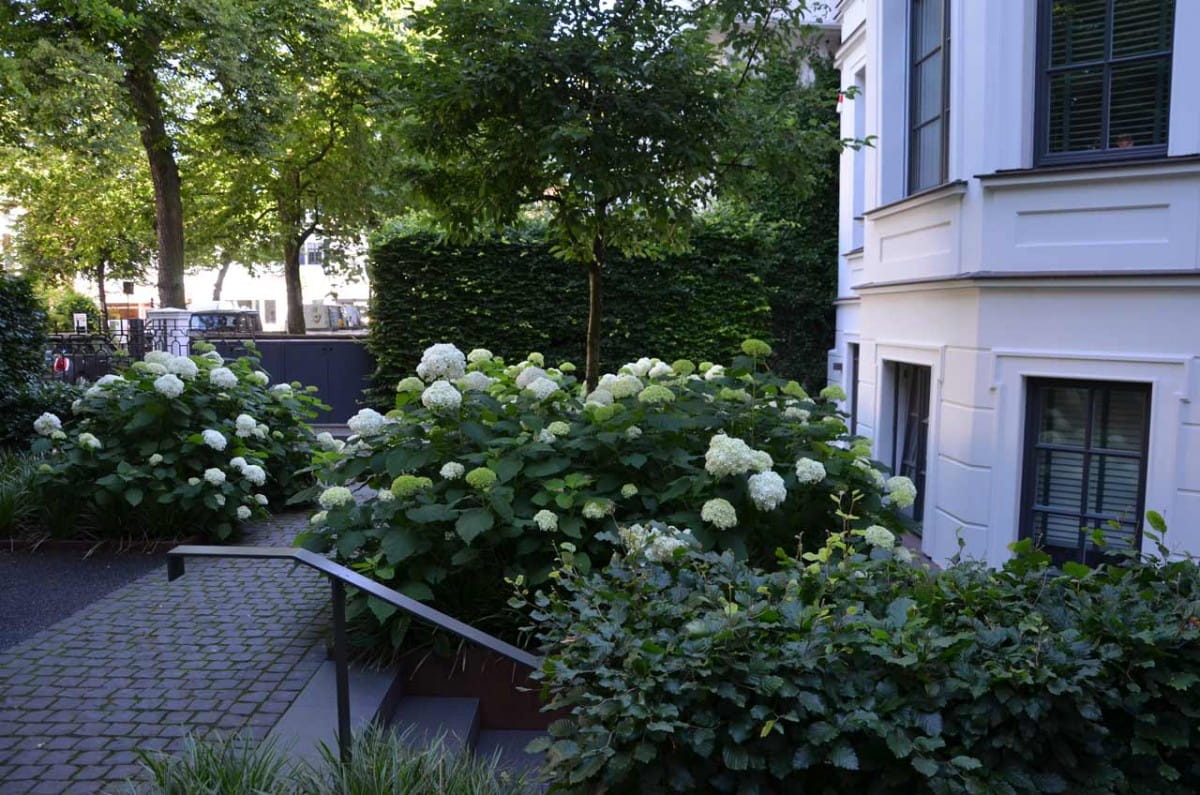 Halbschattiger in HamburgWinterhude Garten von Ehren
