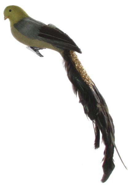Feather Bird ShiShi