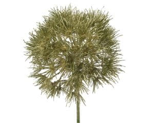 Weihnachtsstrauss Allium, Kaemingk, grün-gold, L: 70cm